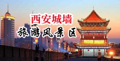 搬淫家麻豆正在播放中国陕西-西安城墙旅游风景区